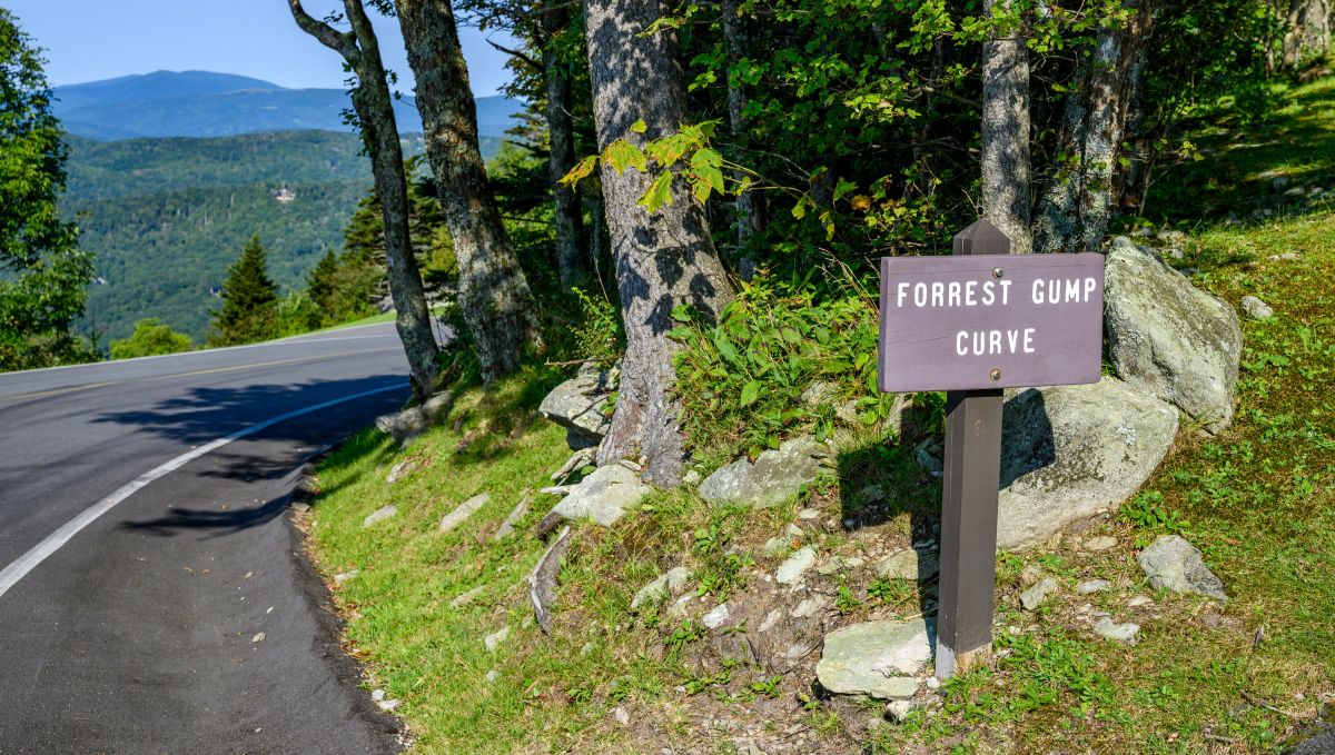 Sites from Critically Acclaimed Movies Filmed in NC